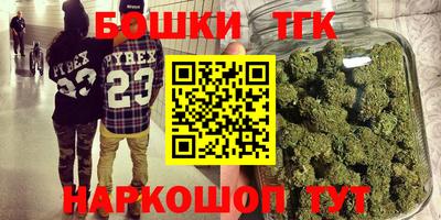 молекула духа Пугачёв