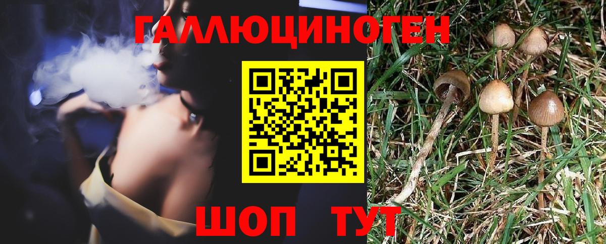 Галлюциногенные грибы Magic Shrooms  Вход с VPN  Ртищево 